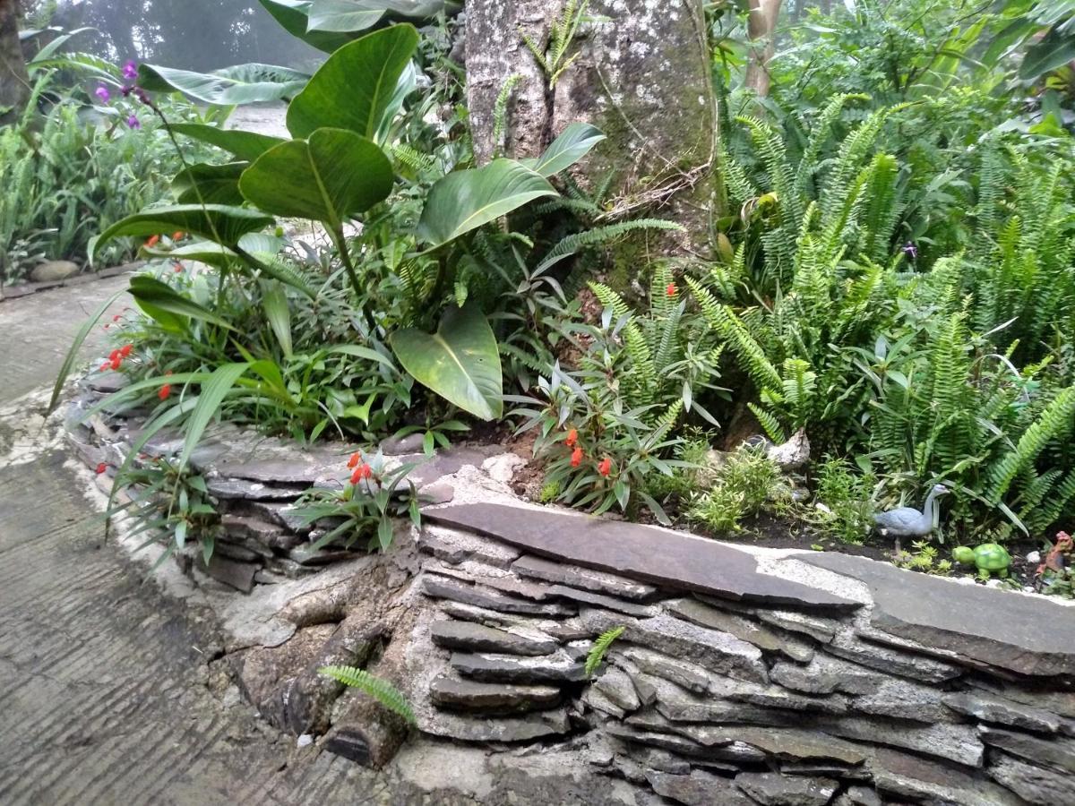 Cabanas La Montana Mountain Lodge Monteverde Luaran gambar
