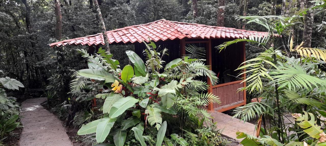 Cabanas La Montana Mountain Lodge Monteverde Luaran gambar