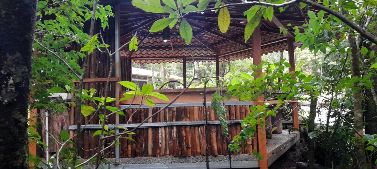 Cabanas La Montana Mountain Lodge Monteverde Luaran gambar