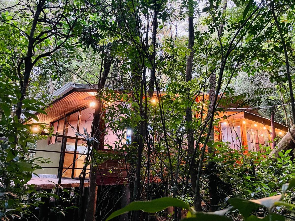 Cabanas La Montana Mountain Lodge Monteverde Luaran gambar