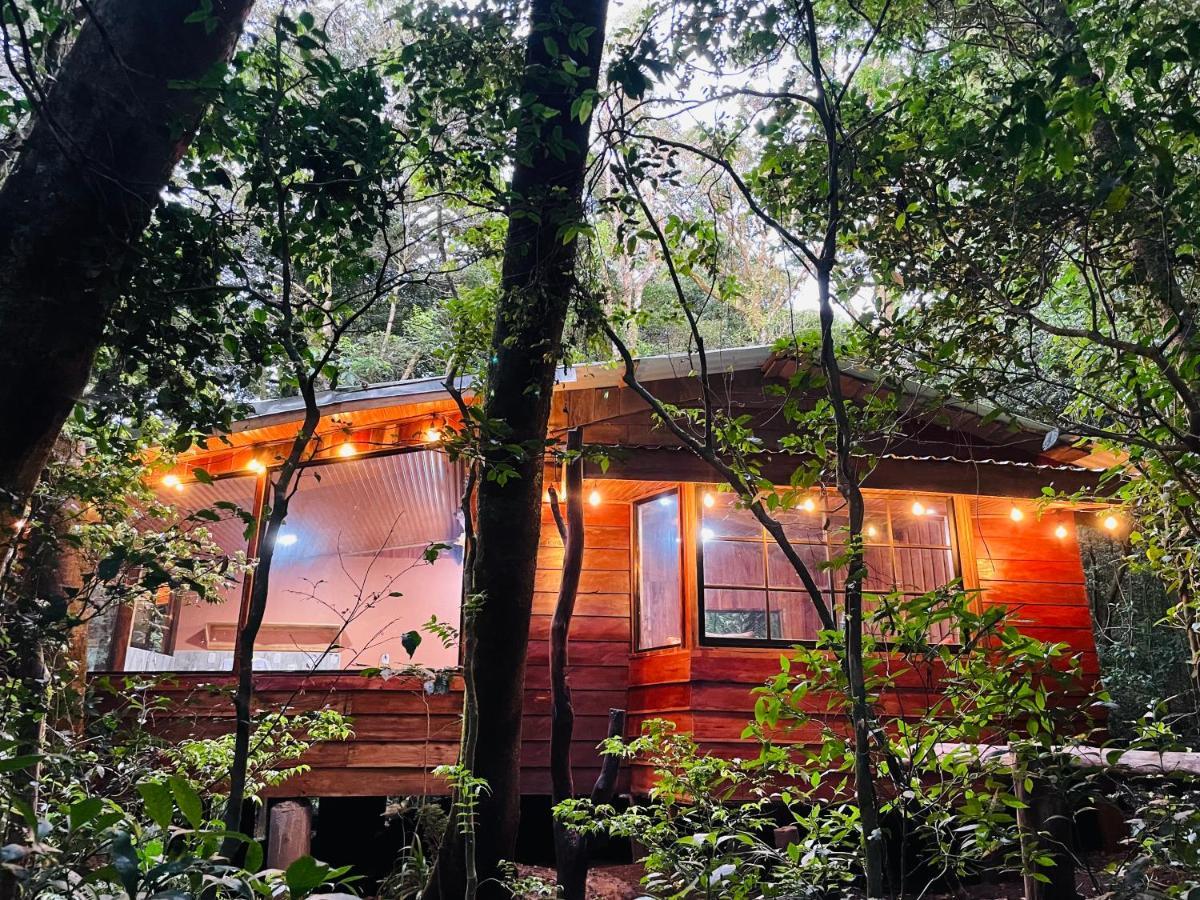 Cabanas La Montana Mountain Lodge Monteverde Luaran gambar